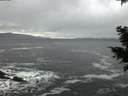 ./images/koeye/fitz-hugh/20201122/fitz-hugh20201122_164502.jpg