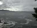 ./images/koeye/fitz-hugh/20201122/fitz-hugh20201122_165002.jpg