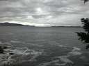 ./images/koeye/fitz-hugh/20201122/fitz-hugh20201122_165502.jpg