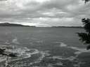 ./images/koeye/fitz-hugh/20201122/fitz-hugh20201122_170002.jpg