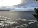 ./images/koeye/fitz-hugh/20201124/fitz-hugh20201124_105001.jpg