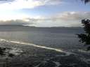 ./images/koeye/fitz-hugh/20201124/fitz-hugh20201124_110501.jpg
