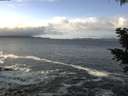 ./images/koeye/fitz-hugh/20201124/fitz-hugh20201124_111001.jpg