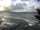 ./images/koeye/fitz-hugh/20201124/fitz-hugh20201124_113502.jpg