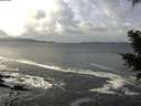 ./images/koeye/fitz-hugh/20201124/fitz-hugh20201124_114502.jpg