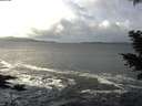 ./images/koeye/fitz-hugh/20201124/fitz-hugh20201124_115002.jpg