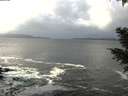 ./images/koeye/fitz-hugh/20201124/fitz-hugh20201124_120502.jpg