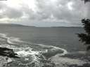 ./images/koeye/fitz-hugh/20201124/fitz-hugh20201124_123501.jpg
