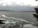 ./images/koeye/fitz-hugh/20201124/fitz-hugh20201124_124501.jpg