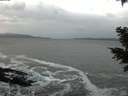 ./images/koeye/fitz-hugh/20201124/fitz-hugh20201124_125501.jpg