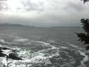 ./images/koeye/fitz-hugh/20201124/fitz-hugh20201124_134001.jpg