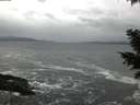 ./images/koeye/fitz-hugh/20201124/fitz-hugh20201124_134501.jpg