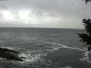 ./images/koeye/fitz-hugh/20201124/fitz-hugh20201124_140002.jpg