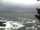 ./images/koeye/fitz-hugh/20201124/fitz-hugh20201124_142001.jpg