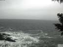 ./images/koeye/fitz-hugh/20201124/fitz-hugh20201124_150002.jpg