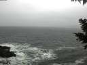 ./images/koeye/fitz-hugh/20201124/fitz-hugh20201124_150502.jpg
