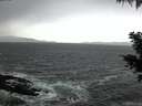 ./images/koeye/fitz-hugh/20201124/fitz-hugh20201124_163501.jpg