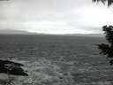 ./images/koeye/fitz-hugh/20201124/fitz-hugh20201124_164001.jpg