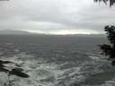 ./images/koeye/fitz-hugh/20201124/fitz-hugh20201124_164501.jpg