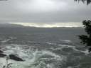 ./images/koeye/fitz-hugh/20201124/fitz-hugh20201124_165501.jpg