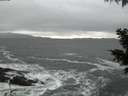 ./images/koeye/fitz-hugh/20201124/fitz-hugh20201124_170002.jpg