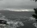 ./images/koeye/fitz-hugh/20201124/fitz-hugh20201124_170501.jpg