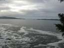 ./images/koeye/fitz-hugh/20201125/fitz-hugh20201125_113001.jpg