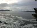 ./images/koeye/fitz-hugh/20201125/fitz-hugh20201125_114501.jpg