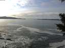 ./images/koeye/fitz-hugh/20201125/fitz-hugh20201125_115501.jpg
