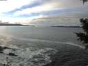 ./images/koeye/fitz-hugh/20201125/fitz-hugh20201125_123002.jpg