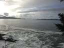 ./images/koeye/fitz-hugh/20201125/fitz-hugh20201125_125002.jpg