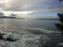 ./images/koeye/fitz-hugh/20201125/fitz-hugh20201125_130502.jpg