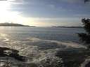 ./images/koeye/fitz-hugh/20201125/fitz-hugh20201125_140501.jpg