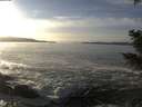 ./images/koeye/fitz-hugh/20201125/fitz-hugh20201125_143501.jpg