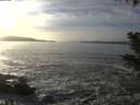./images/koeye/fitz-hugh/20201125/fitz-hugh20201125_144501.jpg