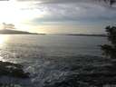 ./images/koeye/fitz-hugh/20201125/fitz-hugh20201125_145001.jpg