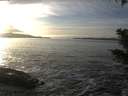 ./images/koeye/fitz-hugh/20201125/fitz-hugh20201125_150002.jpg