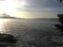 ./images/koeye/fitz-hugh/20201125/fitz-hugh20201125_150501.jpg