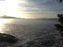 ./images/koeye/fitz-hugh/20201125/fitz-hugh20201125_151001.jpg