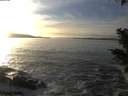 ./images/koeye/fitz-hugh/20201125/fitz-hugh20201125_152001.jpg