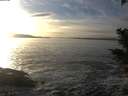 ./images/koeye/fitz-hugh/20201125/fitz-hugh20201125_152501.jpg
