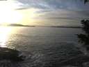 ./images/koeye/fitz-hugh/20201125/fitz-hugh20201125_153001.jpg