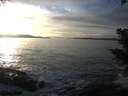 ./images/koeye/fitz-hugh/20201125/fitz-hugh20201125_153501.jpg