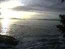 ./images/koeye/fitz-hugh/20201125/fitz-hugh20201125_154001.jpg