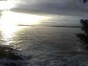 ./images/koeye/fitz-hugh/20201125/fitz-hugh20201125_154502.jpg