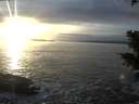 ./images/koeye/fitz-hugh/20201125/fitz-hugh20201125_155002.jpg