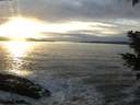 ./images/koeye/fitz-hugh/20201125/fitz-hugh20201125_155502.jpg