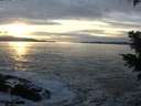 ./images/koeye/fitz-hugh/20201125/fitz-hugh20201125_160002.jpg