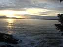 ./images/koeye/fitz-hugh/20201125/fitz-hugh20201125_160502.jpg