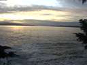 ./images/koeye/fitz-hugh/20201125/fitz-hugh20201125_161002.jpg